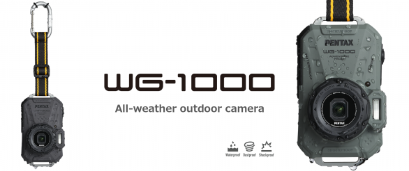 slide-wg-1000