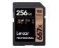 LEXAR 256GB SD minnekort 667X (100MB/s) 